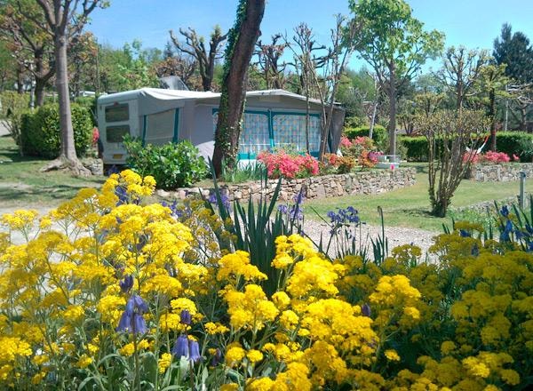 Camping Royal — Photo 10