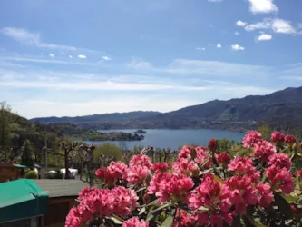 Camping Royal - image n°2 - Camping Direct