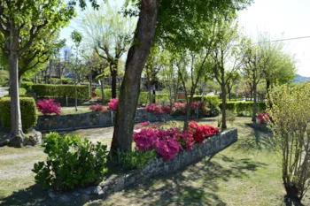 Kampeerplaats(en) - Standplaats Standaard + Voertuig - Camping Royal