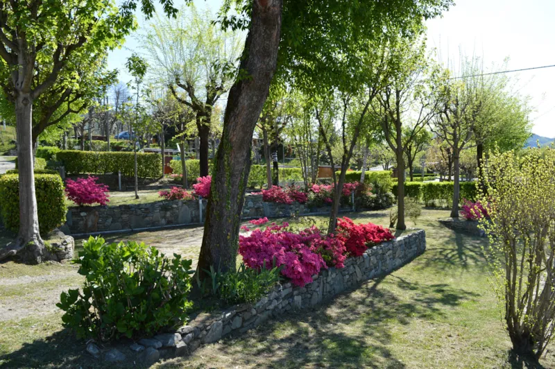 Emplacement Standard + Véhicule