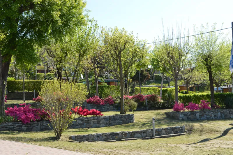 Emplacement Standard + Véhicule