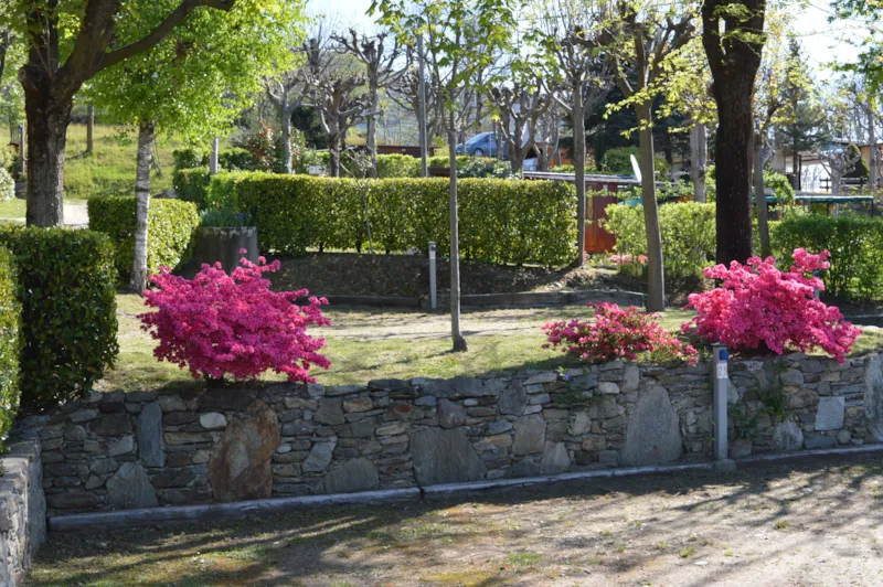 Emplacement Standard + Véhicule