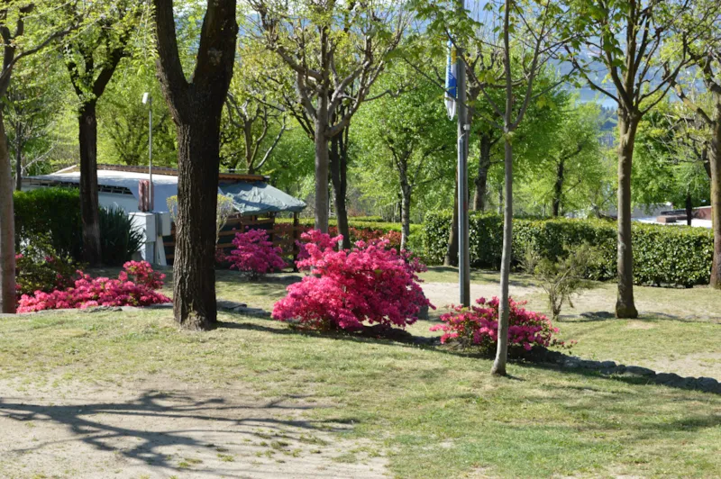 Emplacement Standard + Véhicule