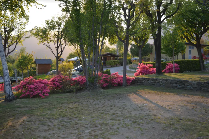 Emplacement Standard + Véhicule