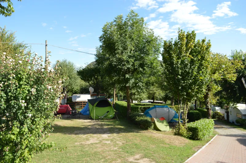 Emplacement Standard + Véhicule