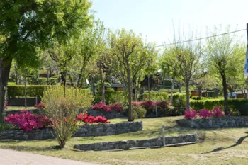 Kampeerplaats(en) - Kampeerplaats Standard Acsi Camping Card/Campcard Adac - Camping Royal