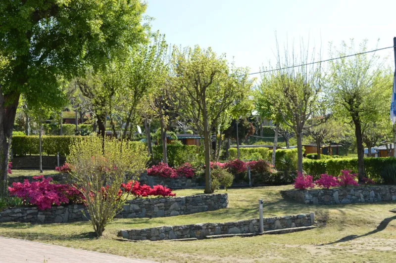 Emplacement Standard Acsi Camping Card/Gcu