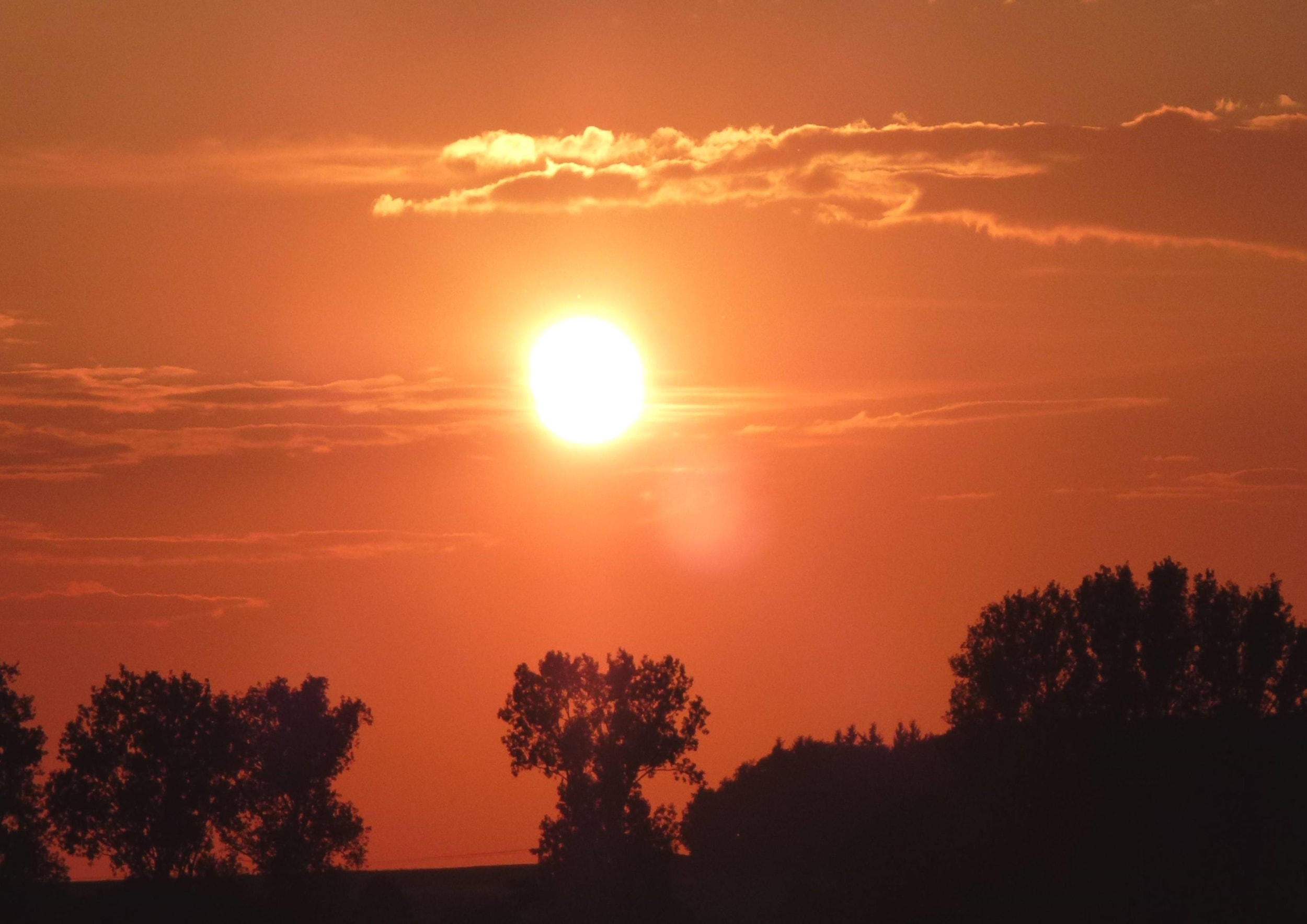 Camping Paradies Franken — Foto 5