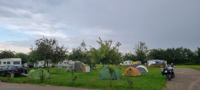 Tent pitch — 1