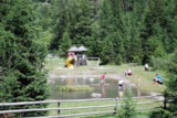 Foto #18 van Nationalpark Camping Kals