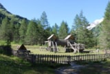 Foto #16 van Nationalpark Camping Kals