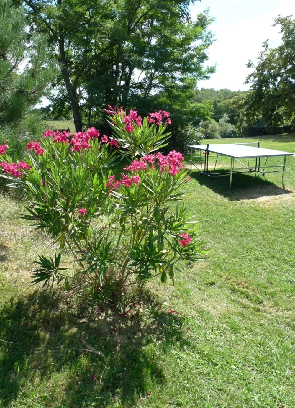 Camping Aux Mêmes - image n°22 - UniversalBooking