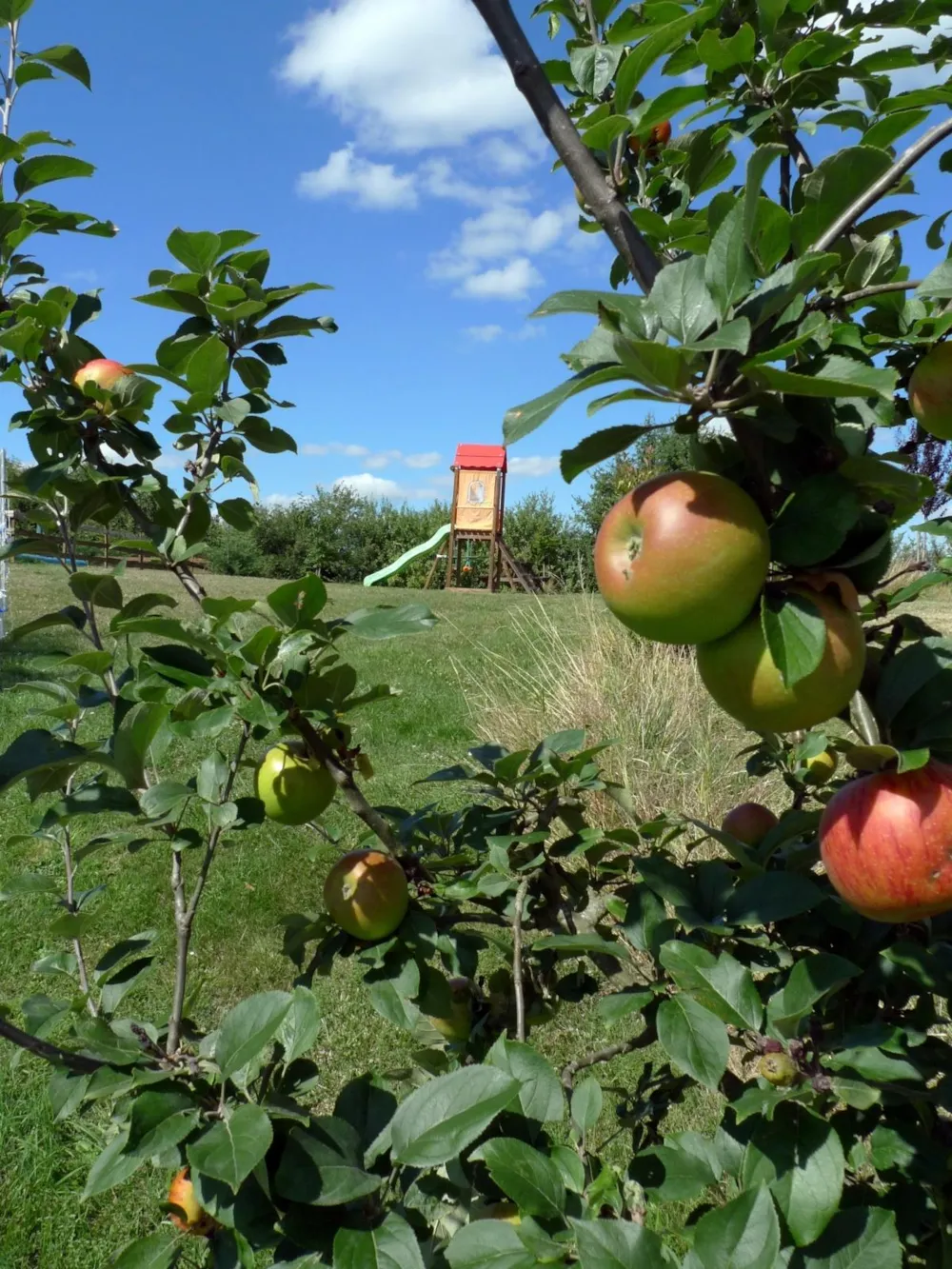 Camping Aux Mêmes - image n°21 - UniversalBooking