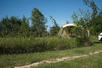 Camping Pitch — 6