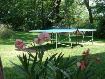 Camping Pitch — 9