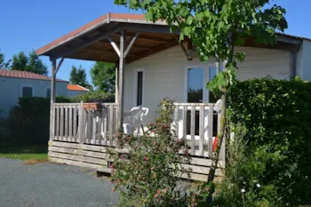 Mietunterkunft - Hütte Confort 1 Zimmer 18M² - CAMPING PARADIS- Camping de La Motte