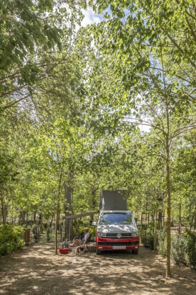 Standard Pitch (no tents allowed) — 2