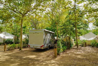 Premium pitch for Caravan or Motorhome (no tents allowed) — 1