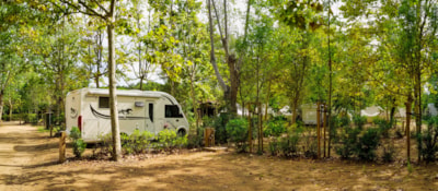 Pitch Plus for Caravan or Motorhome (no tents allowed) — 1