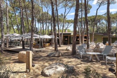 Cabin Tent — 5