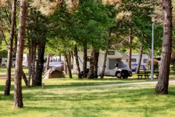 Stellplatz - Kamp Mjesto – Stellplatz - Campsite Borje