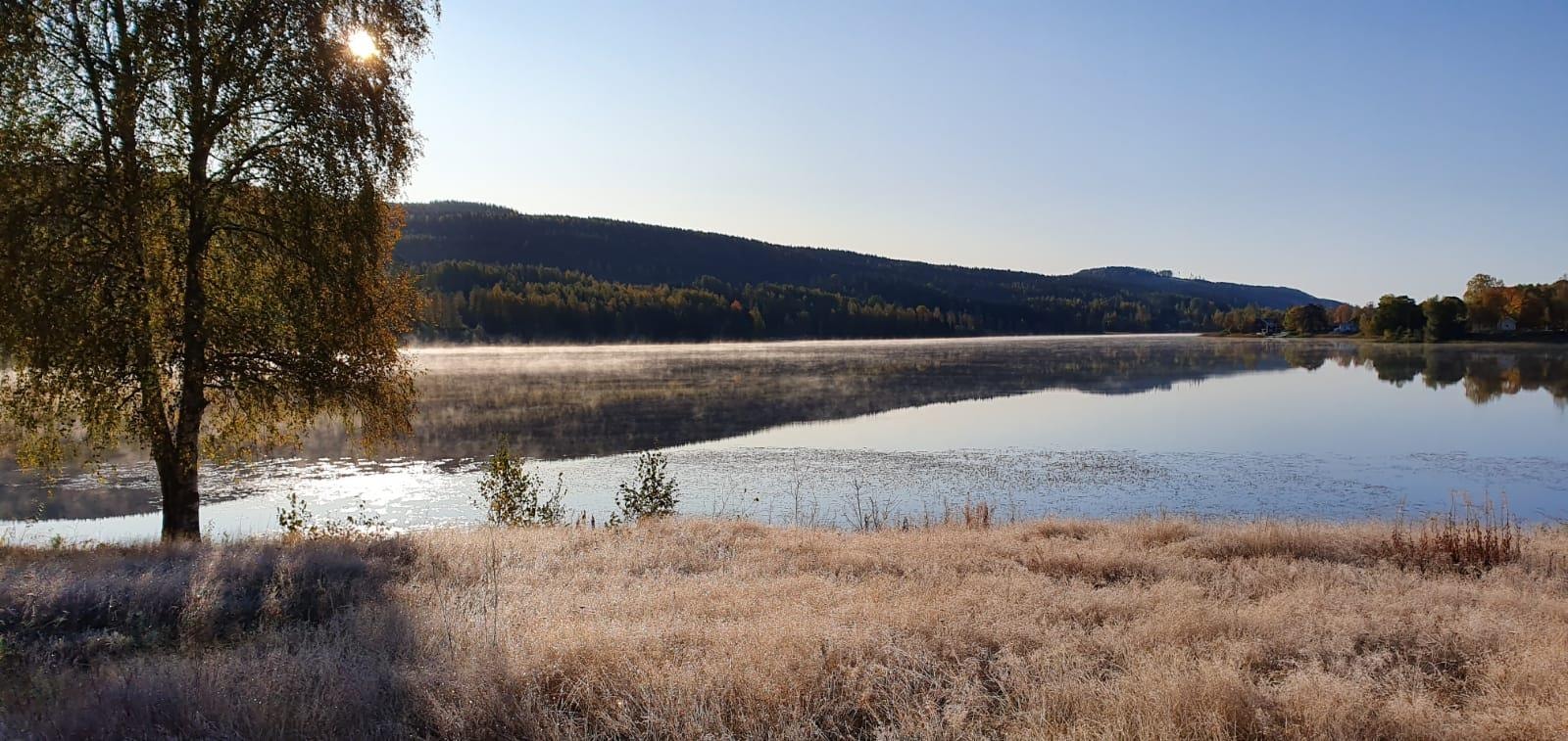 Naturcamping Lagom — Foto 1