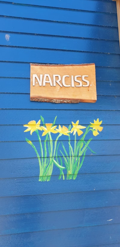 Stuga Narcis