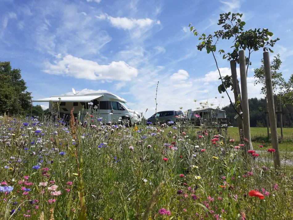 Campingplatz Hof Biggen