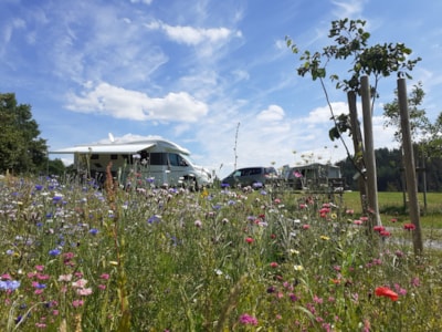 Campingplatz Hof Biggen
