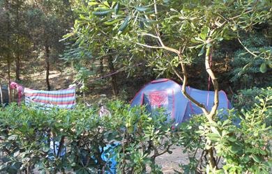 Pitch : car + large tent/caravan or camping-car — 4