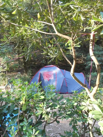 Piazzola Tenda Piccola + Auto