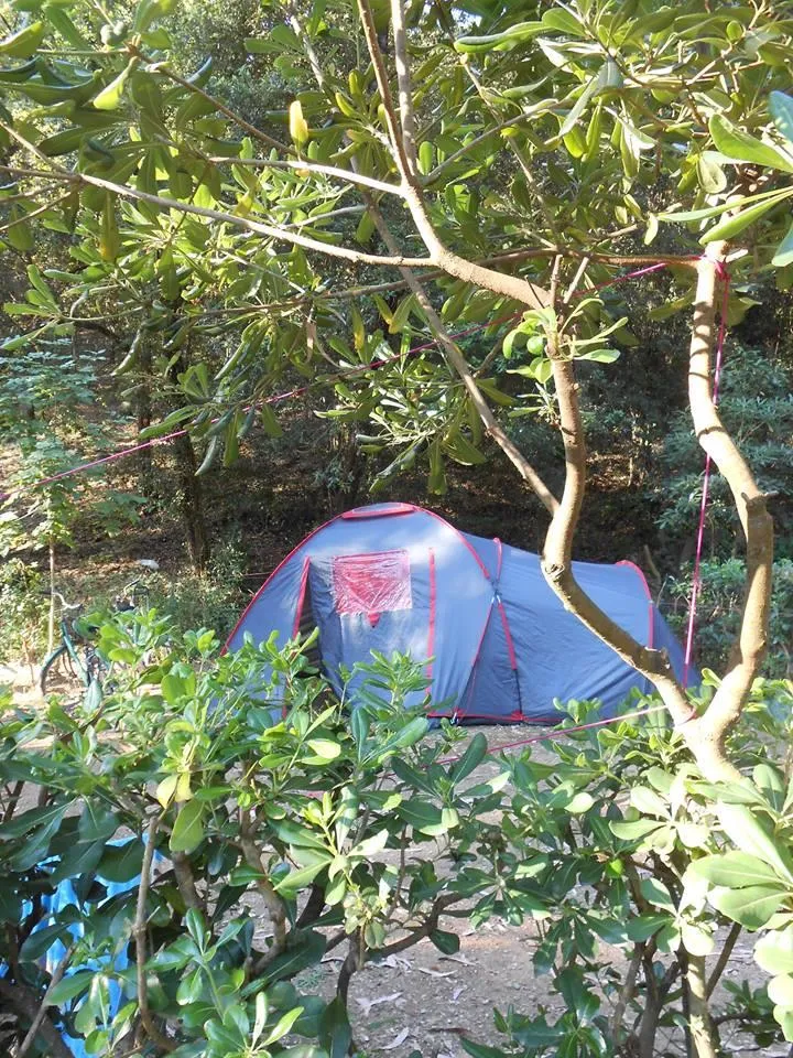 Emplacement Petite Tente + Véhicule