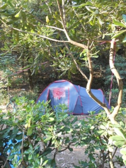 Kampeerplaats(en) - Standplaats Kleine Tent + Voertuig - Elbadoc Camping Village