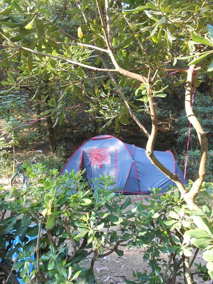 Emplacement Petite tente + véhicule