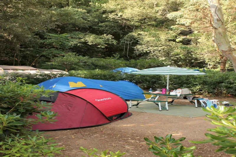 Emplacement : Voiture + Tente Familiale/Caravane Ou Camping-Car