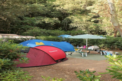 Pitch : car + large tent/caravan or camping-car — 3
