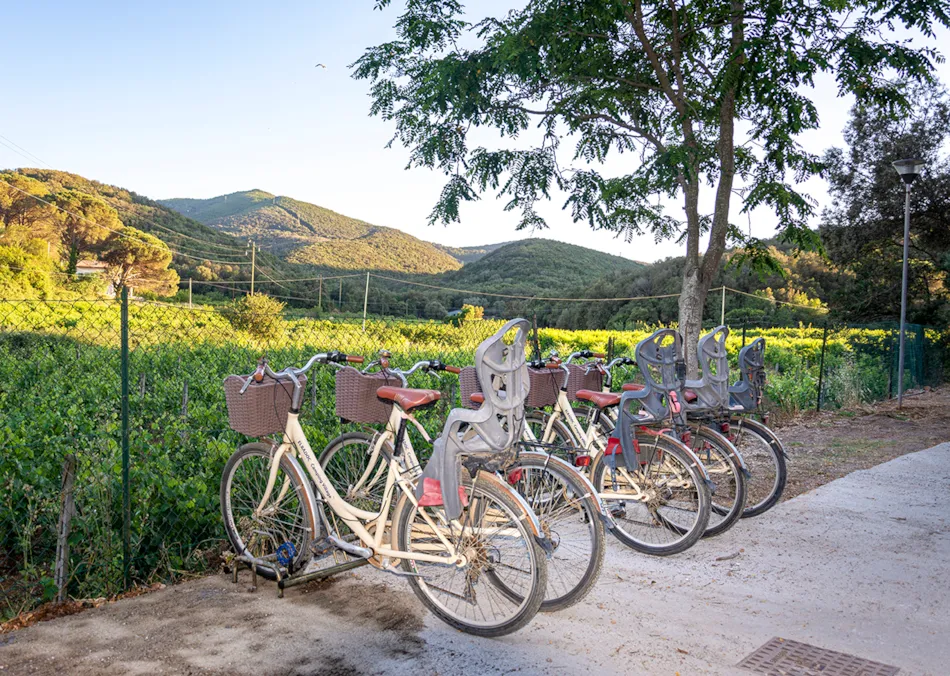 Elbadoc Camping Village