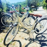 Foto #35 van Elbadoc Camping Village