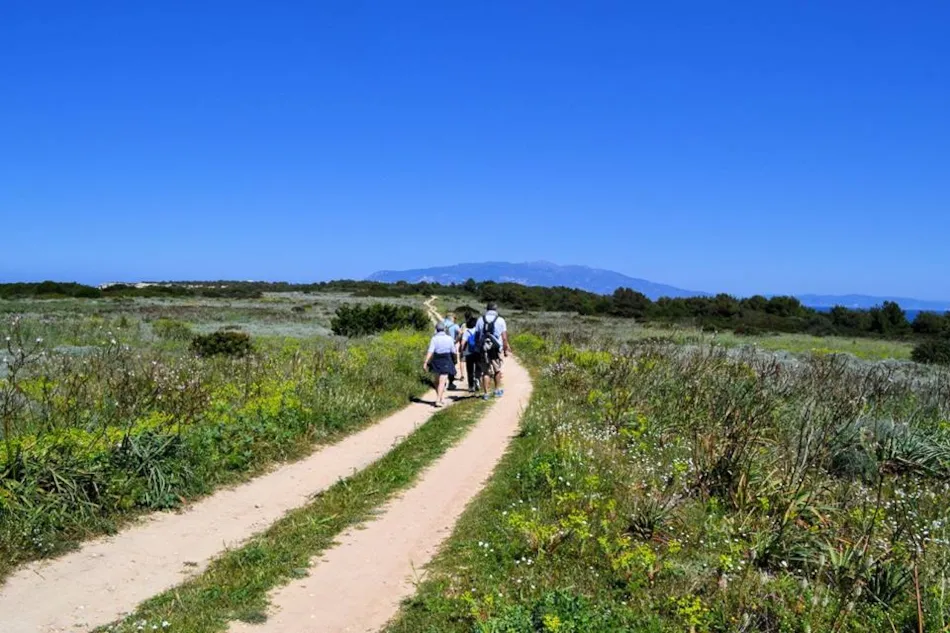 Elbadoc Camping Village