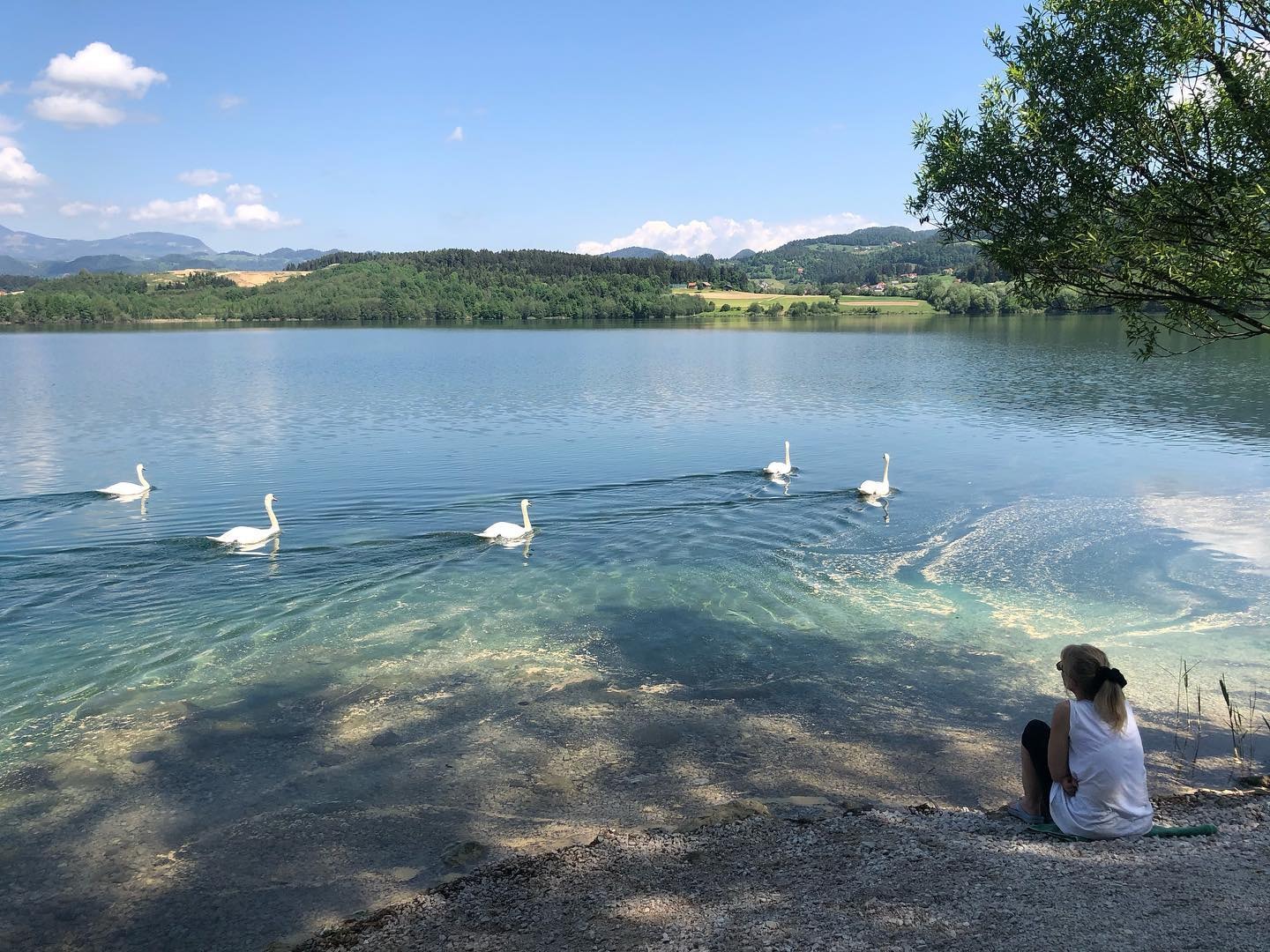 Camp Velenje — Foto 5