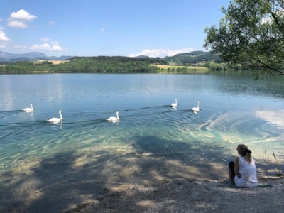 Camp Velenje