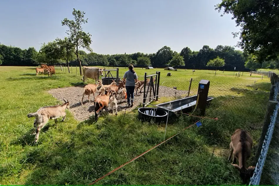 Camping des Gayeulles