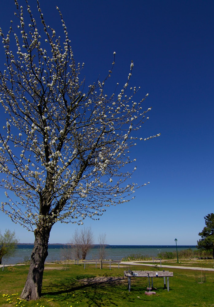 Ostsee-Campingplatz Liebeslaube photo 4