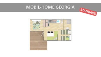 GEORGIA STANDARD
