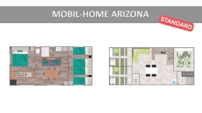 ARIZONA STANDARD