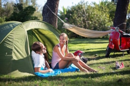 Parcela - Parcela Standard - Camping Pino Mare