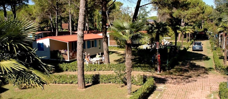 Camping Village Pino Mare | PiNCAMP by ADAC