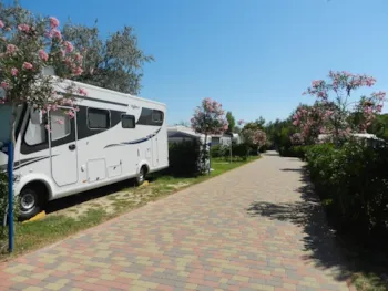 Stellplatz - Stellplatz Maxi Comfort - Camping Pino Mare