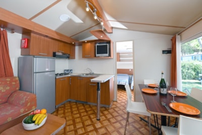 Mobile-home Trend — 4