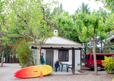 Essential Carpa — 1
